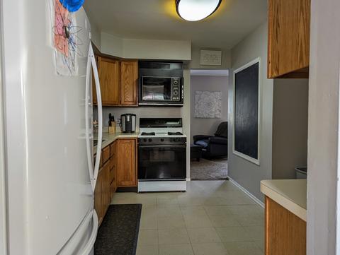 593 Harbor Ter, Bartlett, IL 60103 photo 3