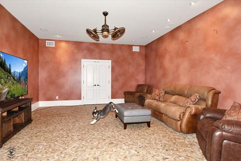 228 E Goodenow Rd, Beecher, IL 60401 photo 34