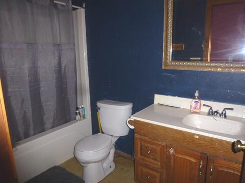 12901 Pine Rd, Dewitt, IL 61735 photo 13