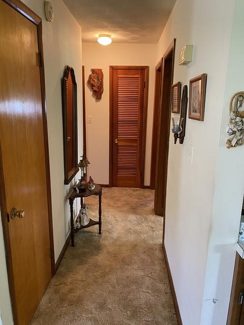 560 E Iroquois St, Sheldon, IL 60966 photo 8