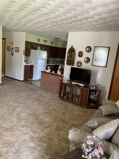 560 E Iroquois St, Sheldon, IL 60966 photo 7