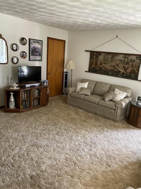 560 E Iroquois St, Sheldon, IL 60966 photo 6