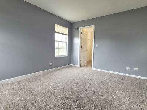 1460 Millbrook Dr, Algonquin, IL 60102 photo 21