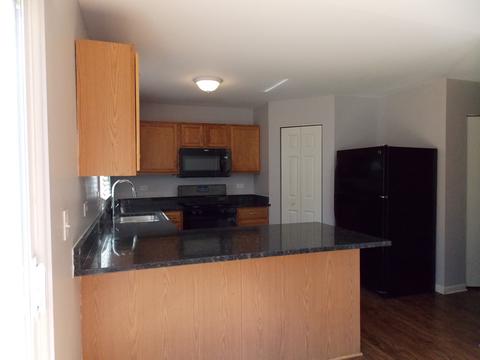 1719 Emerald Pointe Cir, Plainfield, IL 60586 photo 9