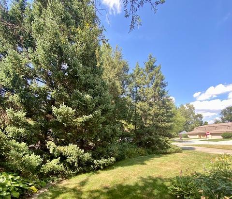 1701 Maynard Dr, Champaign, IL 61822 photo 12