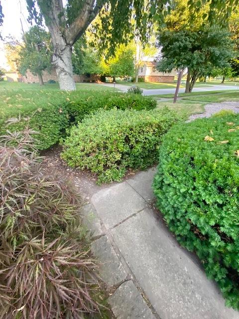 1701 Maynard Dr, Champaign, IL 61822 photo 123