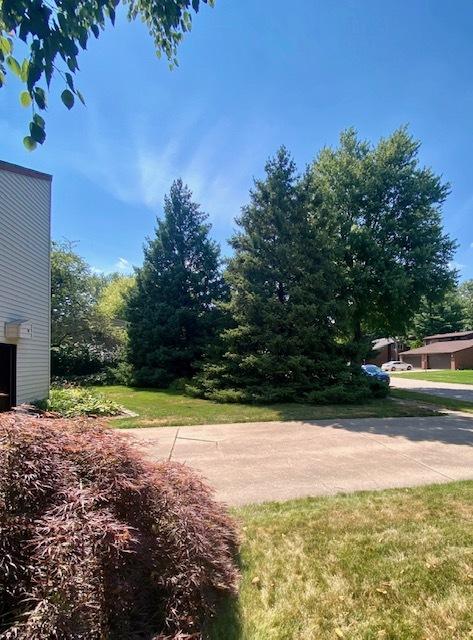 1701 Maynard Dr, Champaign, IL 61822 photo 130