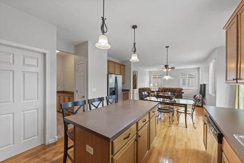 25517 Pavilion Pl, Plainfield, IL 60585 photo 11