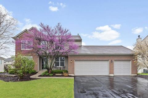 25517 Pavilion Pl, Plainfield, IL 60585 photo 1