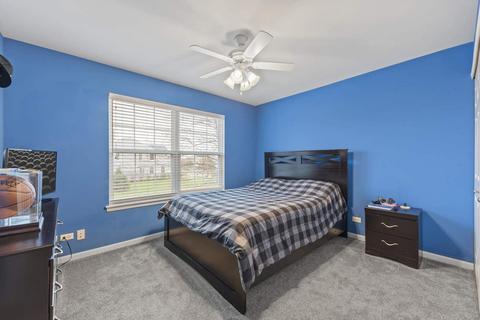 25517 Pavilion Pl, Plainfield, IL 60585 photo 25