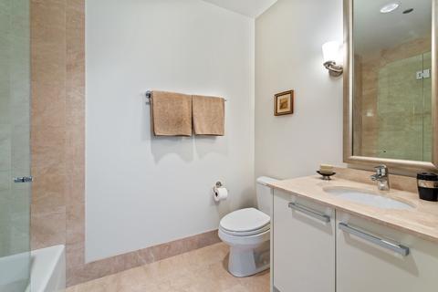 10 E Delaware Pl #22E, Chicago, IL 60611 photo 16