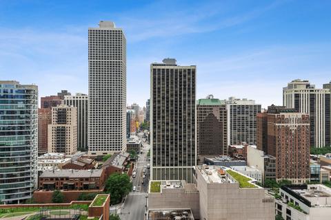 10 E Delaware Pl #22E, Chicago, IL 60611 photo 19