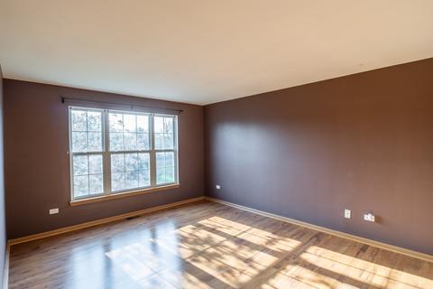 680 Mill Cir #203, Wheeling, IL 60090 photo 14