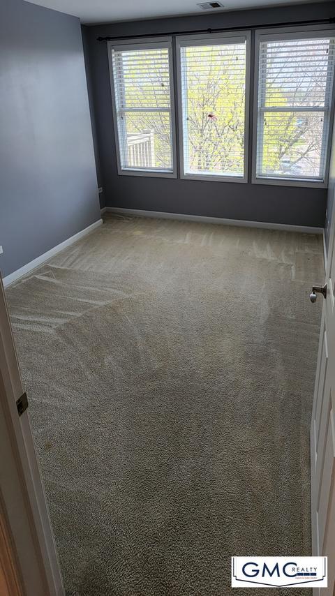 275 E Railroad Ave #304, Bartlett, IL 60103 photo 24