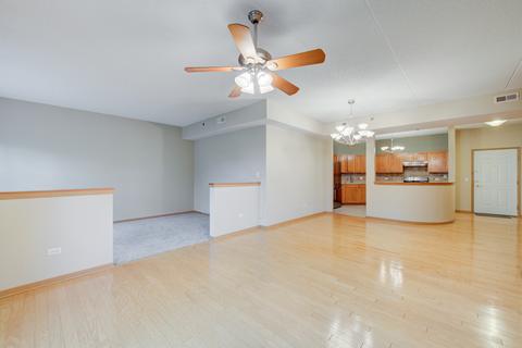 3135 Town Square Dr #208, Rolling Meadows, IL 60008 photo 8