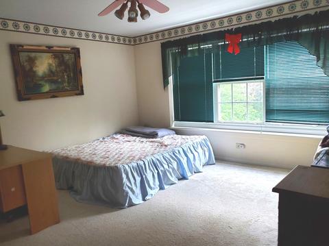 1305 S Paddock Dr, Wheeling, IL 60090 photo 4