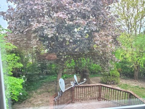 1305 S Paddock Dr, Wheeling, IL 60090 photo 7