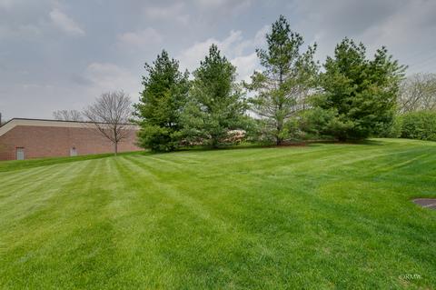 1319 Avery Ave, Wheaton, IL 60187 photo 29