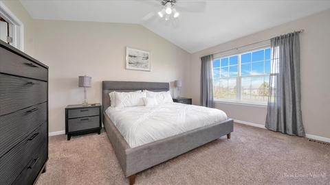 1316 Filly Ln, Bartlett, IL 60103 photo 12