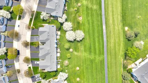 1316 Filly Ln, Bartlett, IL 60103 photo 29