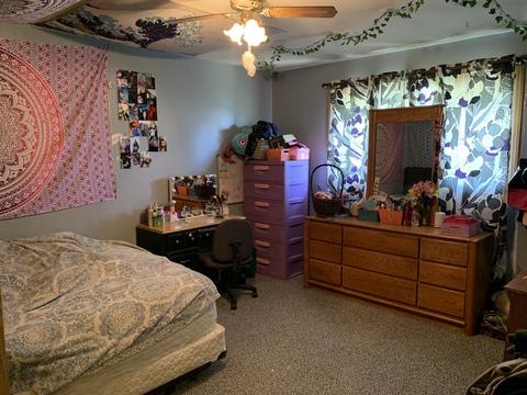 166 W 37th St, Steger, IL 60475 photo 9