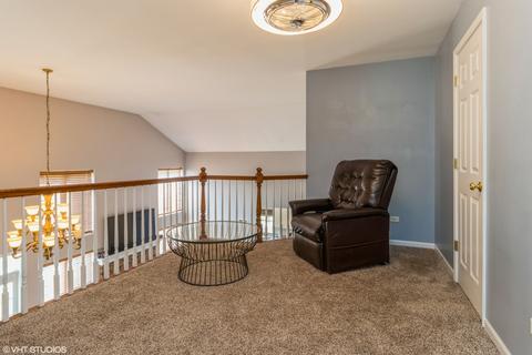 23009 Redwing Ct, Plainfield, IL 60586 photo 10