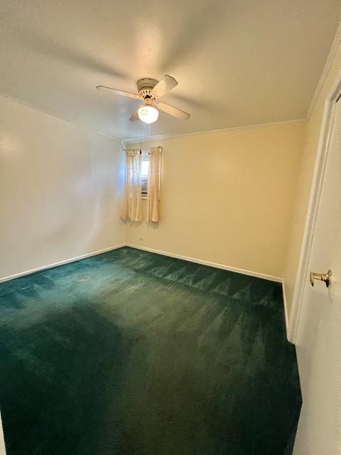 280 Mohawk St, Park Forest, IL 60466 photo 20
