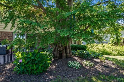 1512 Gamon Rd, Wheaton, IL 60189 photo 56