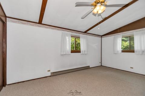 1111 South St, Mazon, IL 60444 photo 4