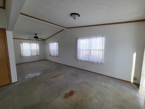 22501 Miller Rd, Steger, IL 60475 photo 10