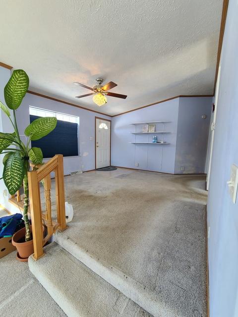 22501 Miller Rd, Steger, IL 60475 photo 7