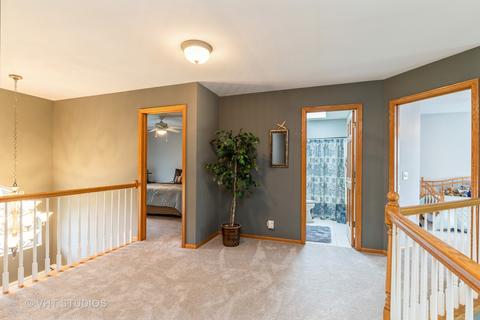 641 Brookside Ave, Algonquin, IL 60102 photo 20