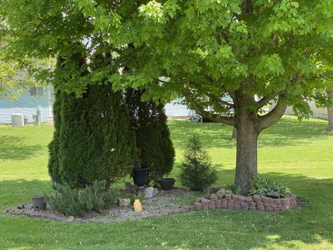 331 Elk St, Odell, IL 60460 photo 23