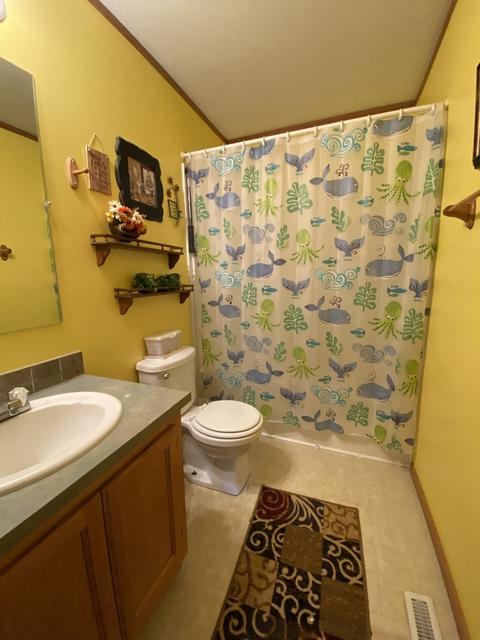 331 Elk St, Odell, IL 60460 photo 19