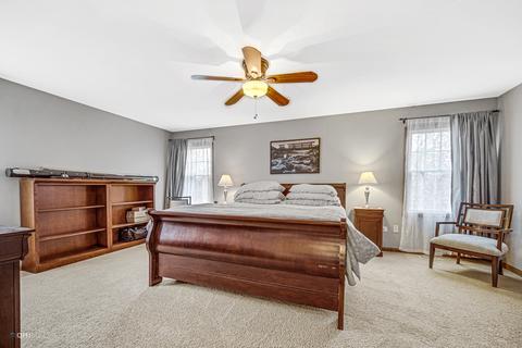 110 W End Rd, Roselle, IL 60172 photo 20