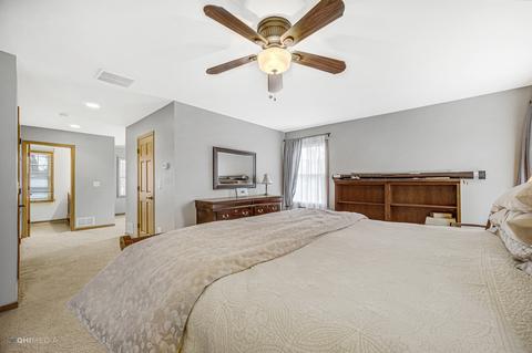 110 W End Rd, Roselle, IL 60172 photo 21