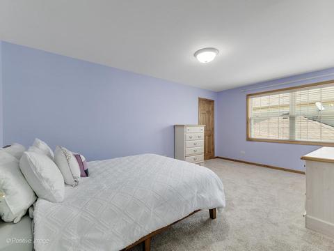 455 Pond View Ln, Bartlett, IL 60103 photo 30