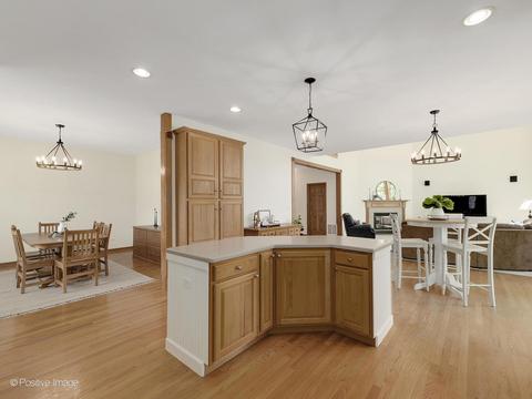 455 Pond View Ln, Bartlett, IL 60103 photo 14