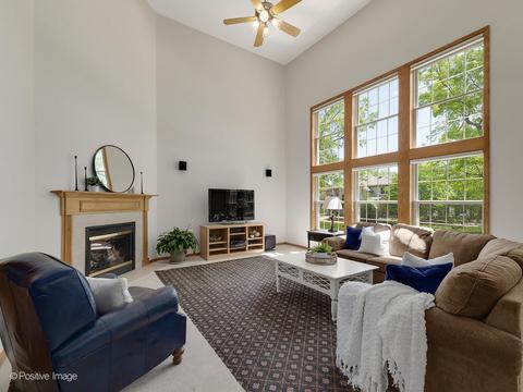 455 Pond View Ln, Bartlett, IL 60103 photo 8