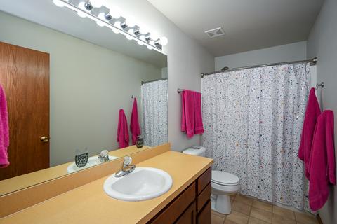 2805 Twin Falls Dr, Plainfield, IL 60586 photo 24