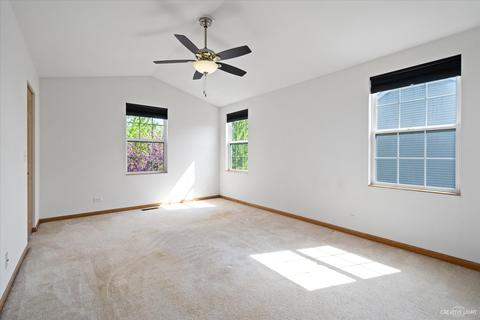982 Celebration Dr, Aurora, IL 60504 photo 18