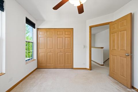 982 Celebration Dr, Aurora, IL 60504 photo 17