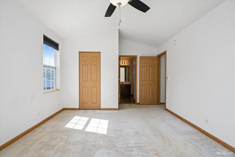 982 Celebration Dr, Aurora, IL 60504 photo 19