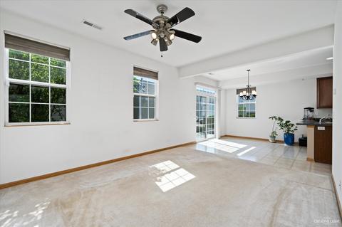 982 Celebration Dr, Aurora, IL 60504 photo 7