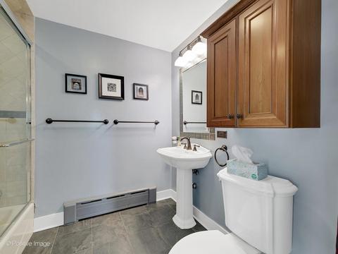703 E Illinois St, Wheaton, IL 60187 photo 19
