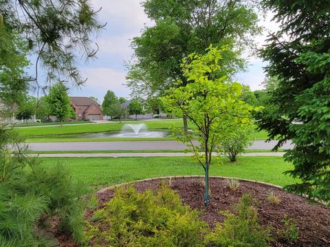 13223 Evon St, Plainfield, IL 60585 photo 6