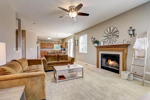 25117 Bicentennial Ct, Plainfield, IL 60544 photo 17