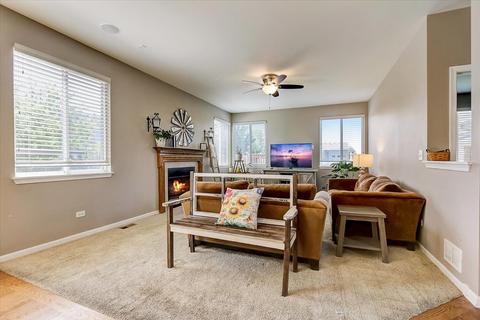 25117 Bicentennial Ct, Plainfield, IL 60544 photo 14