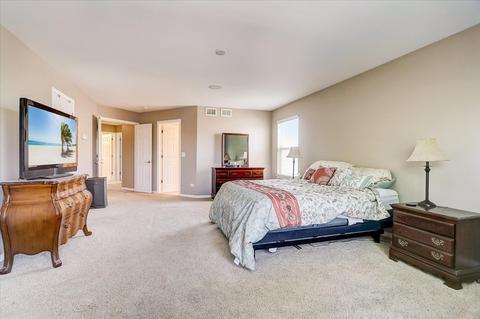 25117 Bicentennial Ct, Plainfield, IL 60544 photo 24