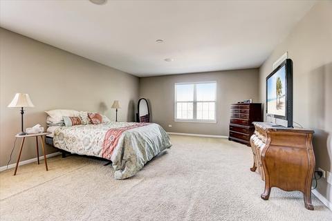 25117 Bicentennial Ct, Plainfield, IL 60544 photo 23